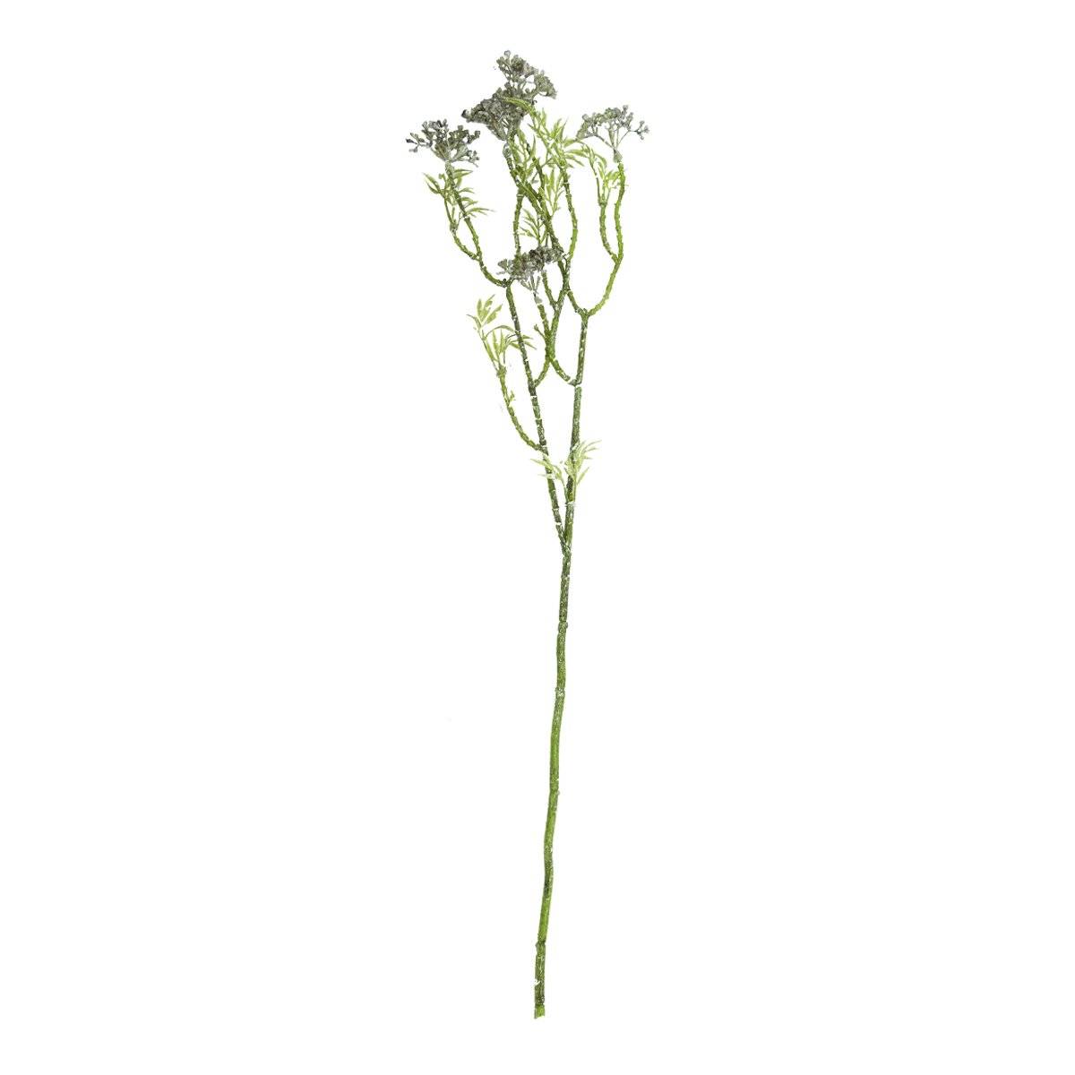 Follaje De Allyssum | Flores | rec��maras