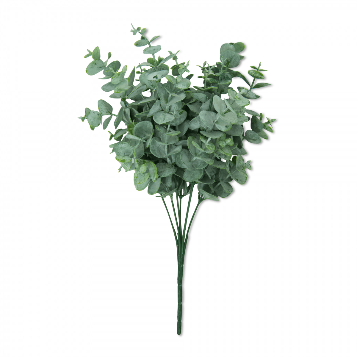 Racimo De Eucalipto Verde | Flores | decoracion