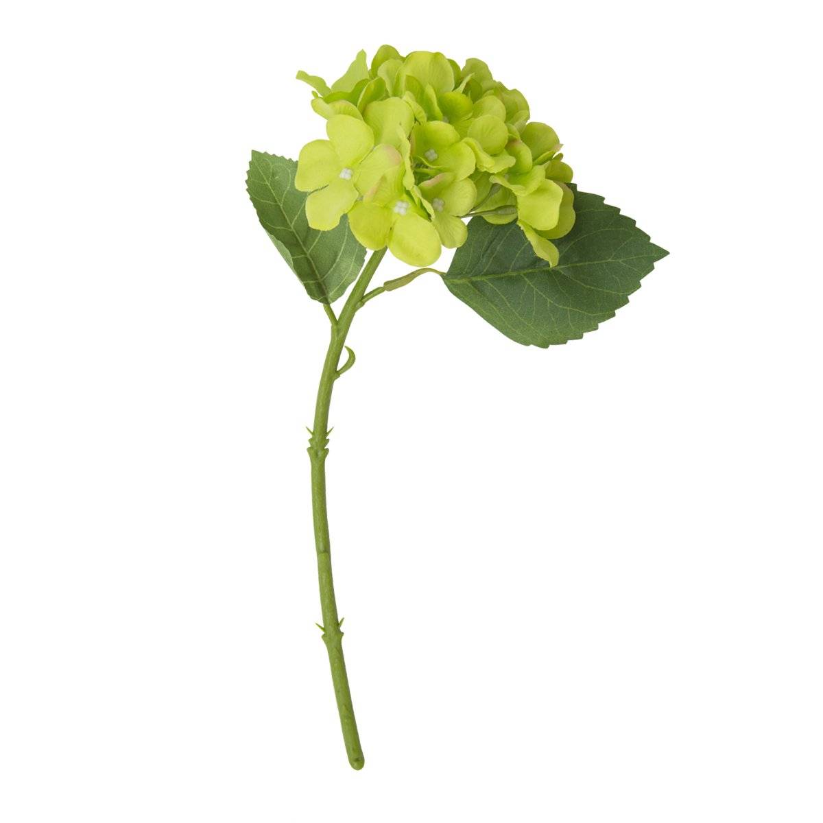 Racimo De Hortensia Verde | Flores | Tamarindo En línea