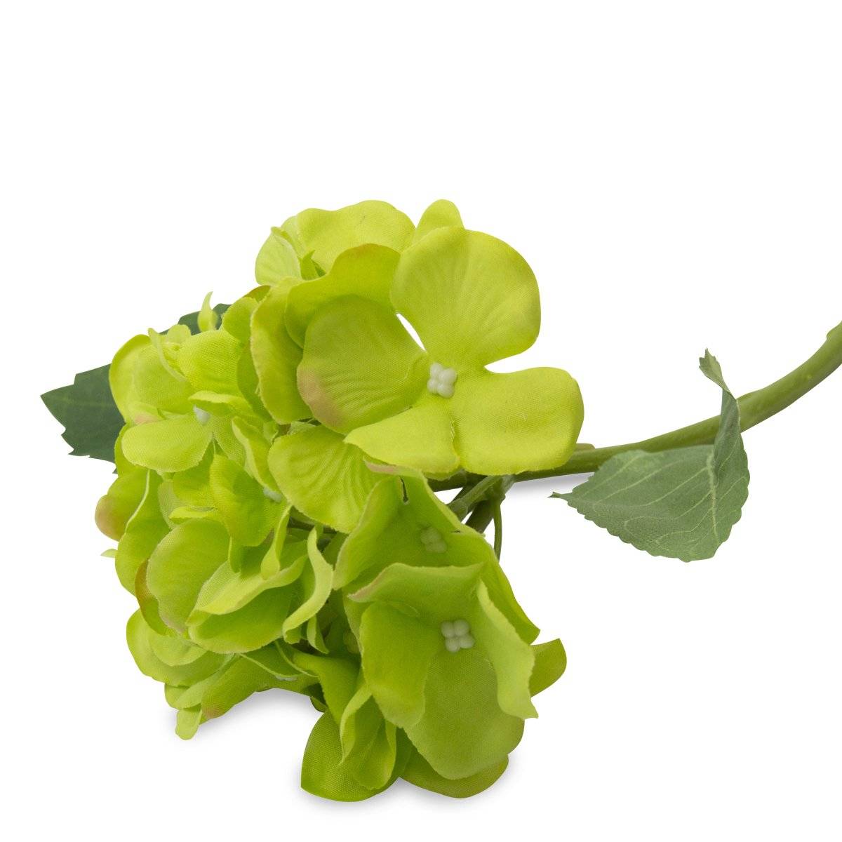 Racimo De Hortensia Verde | Flores | decoracion