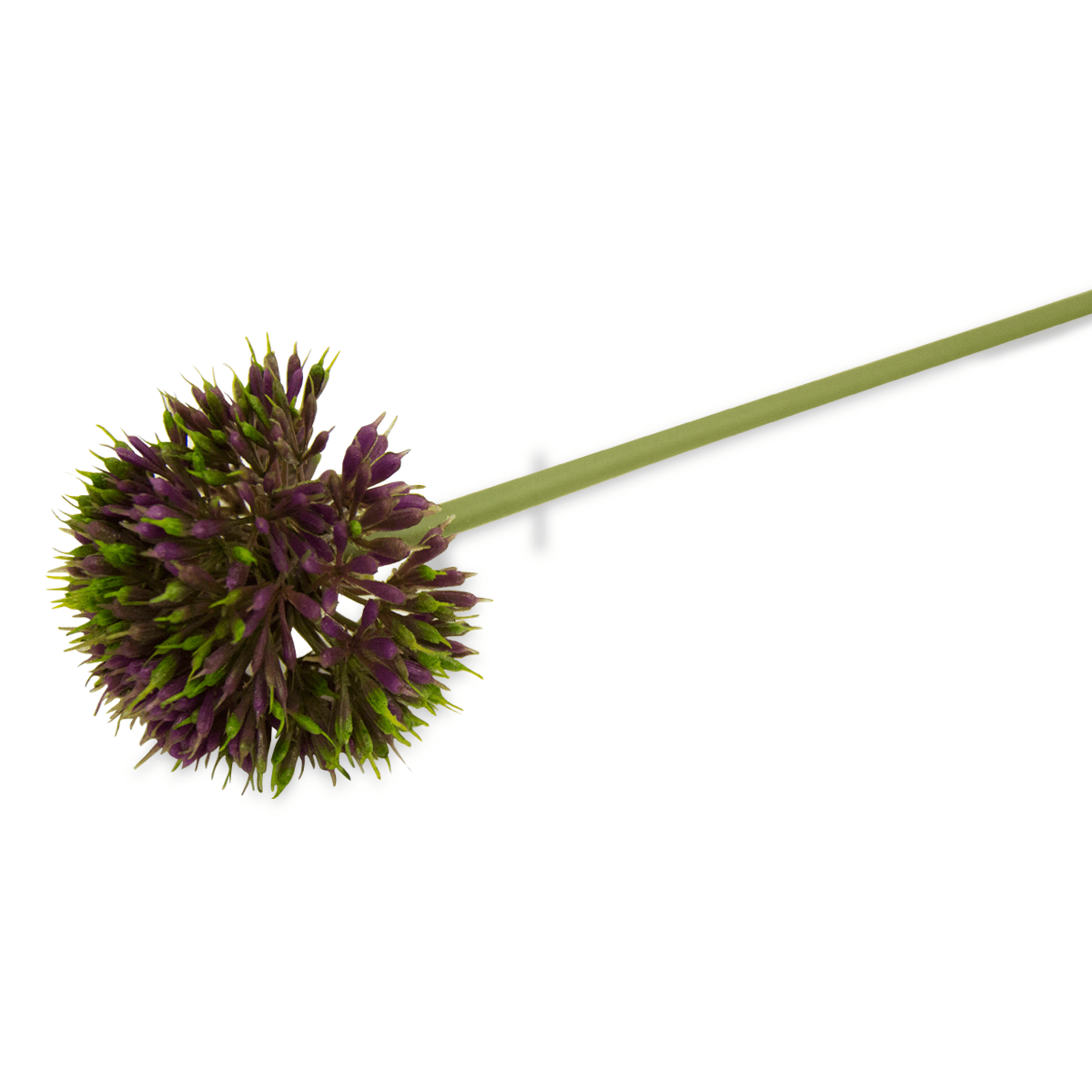 Flor De Allium Morada | Flores | rec��maras