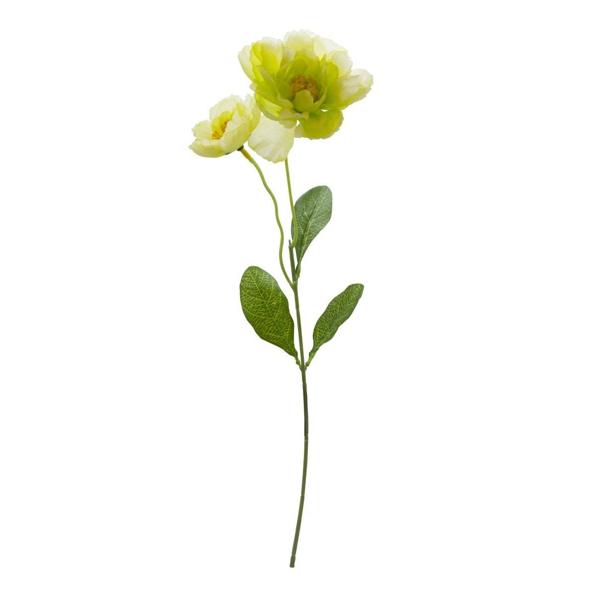 Flor Rosa Doble Verde | Flores | recamaras