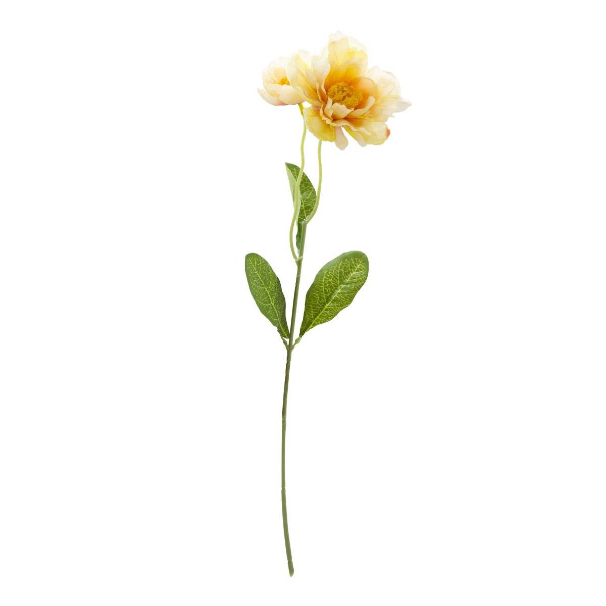 Flor Rosa Doble Beige | Flores | decoracion