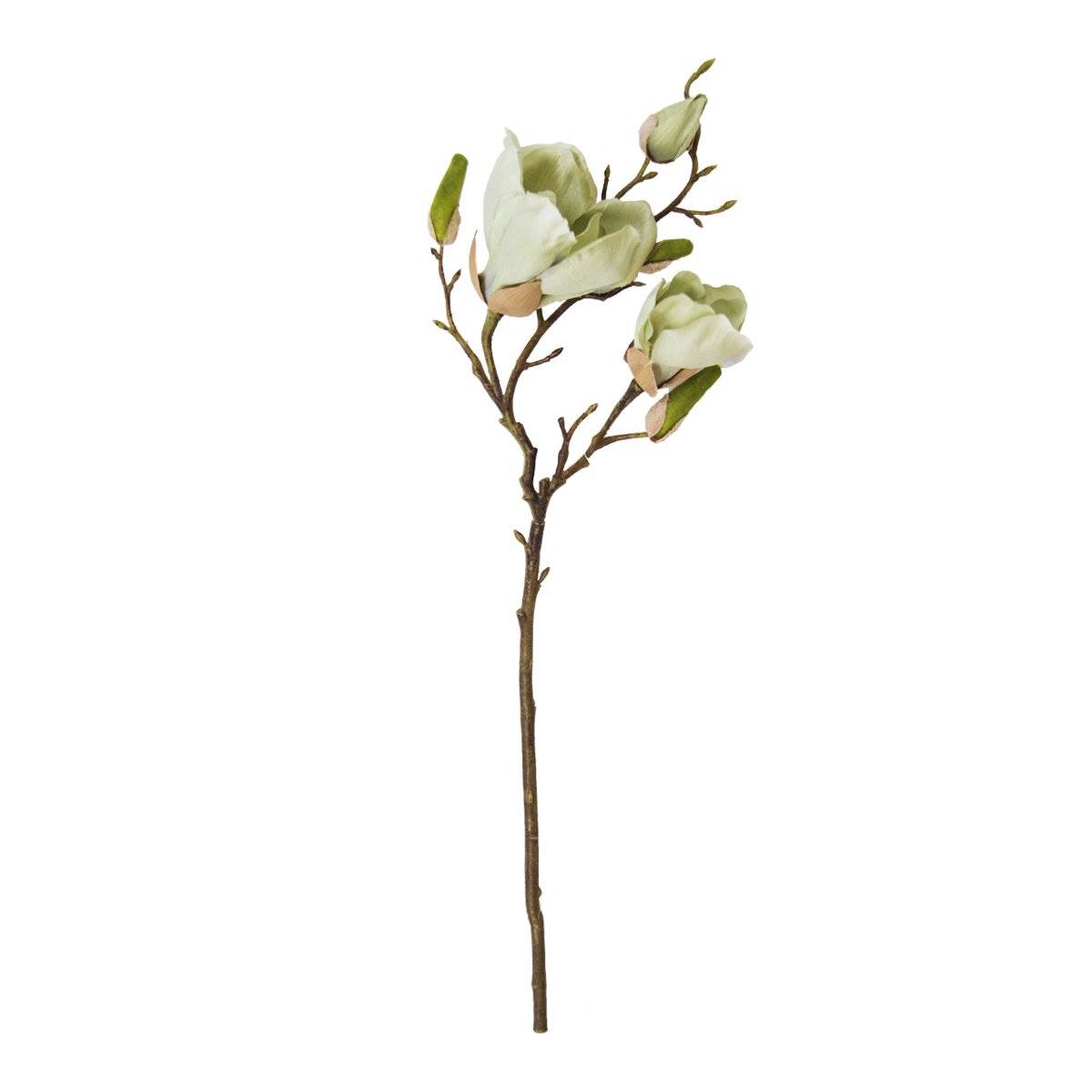 Flor Magnolia Doble Verde | Flores | salas