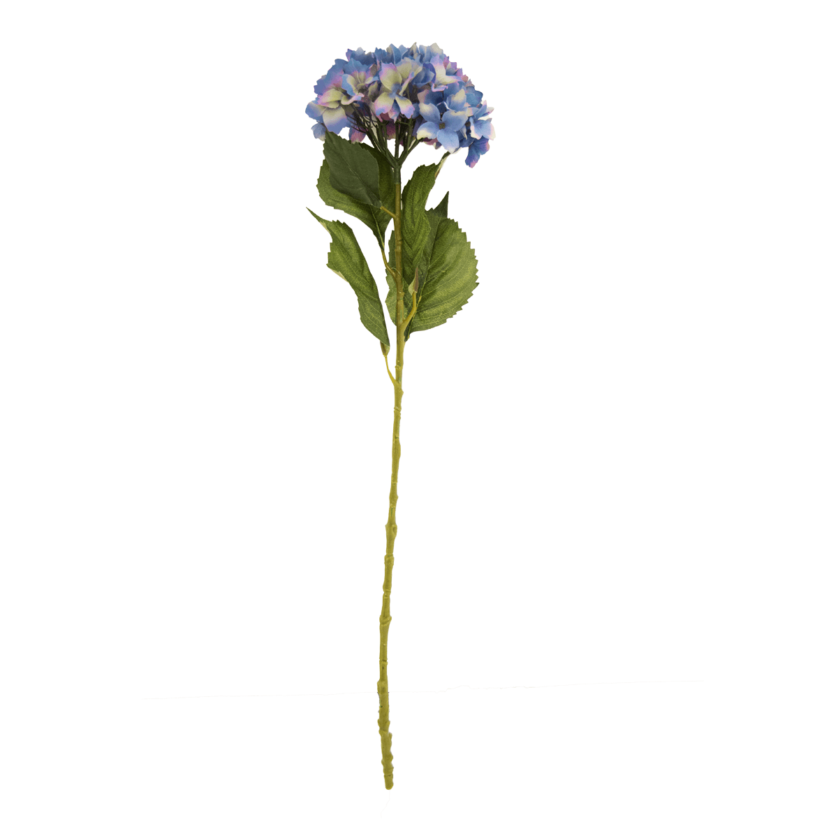 Flor Hortensia OtoÑal Azul | Flores | salas
