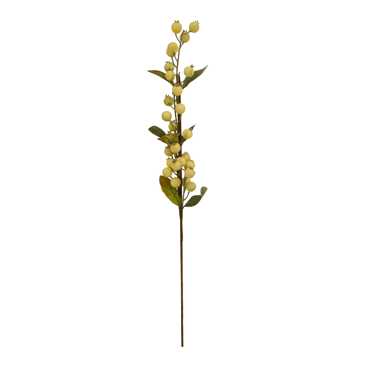 Rama De Espino Blanca | Flores | decoracion