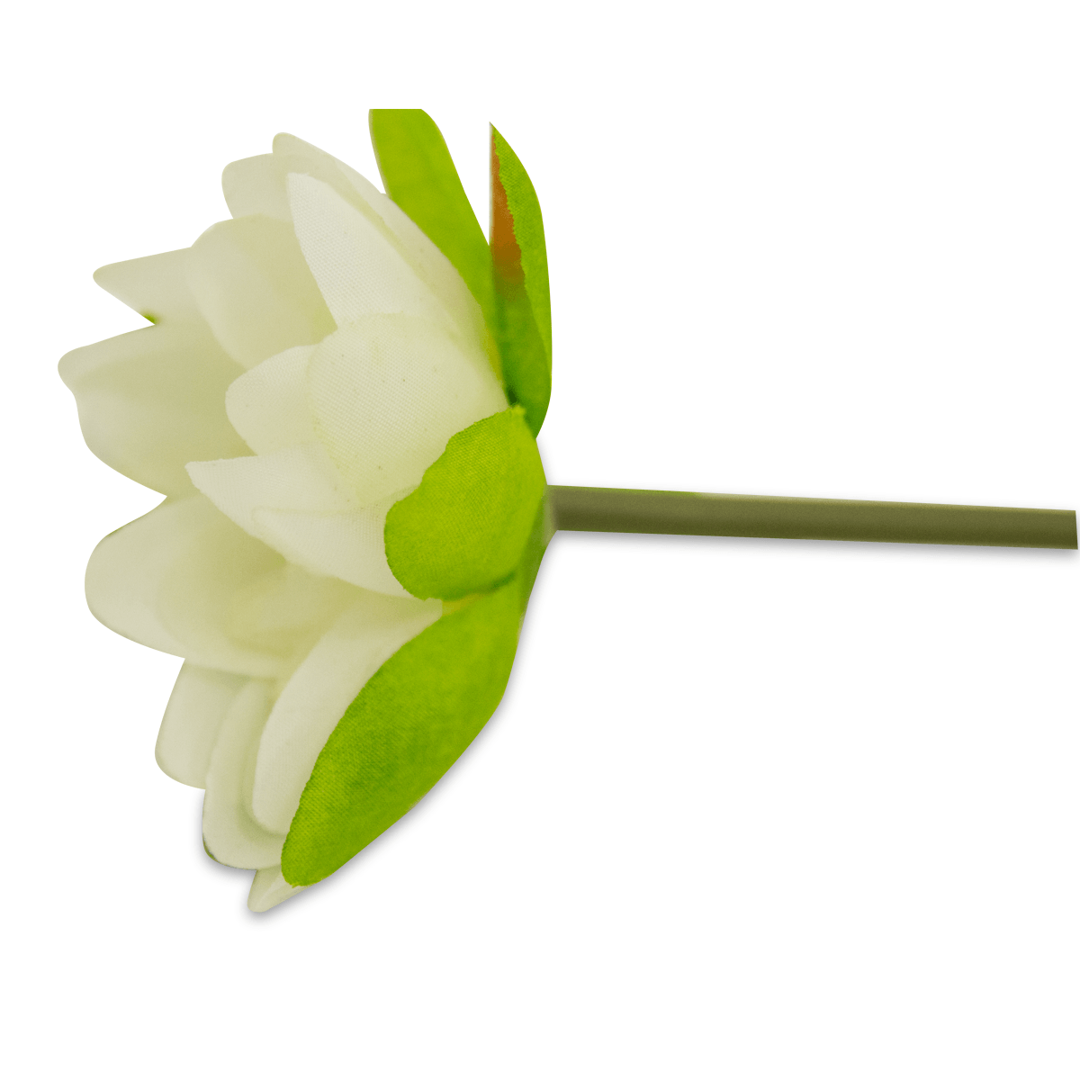 Flor Sombrilla Blanca | Flores | rec��maras
