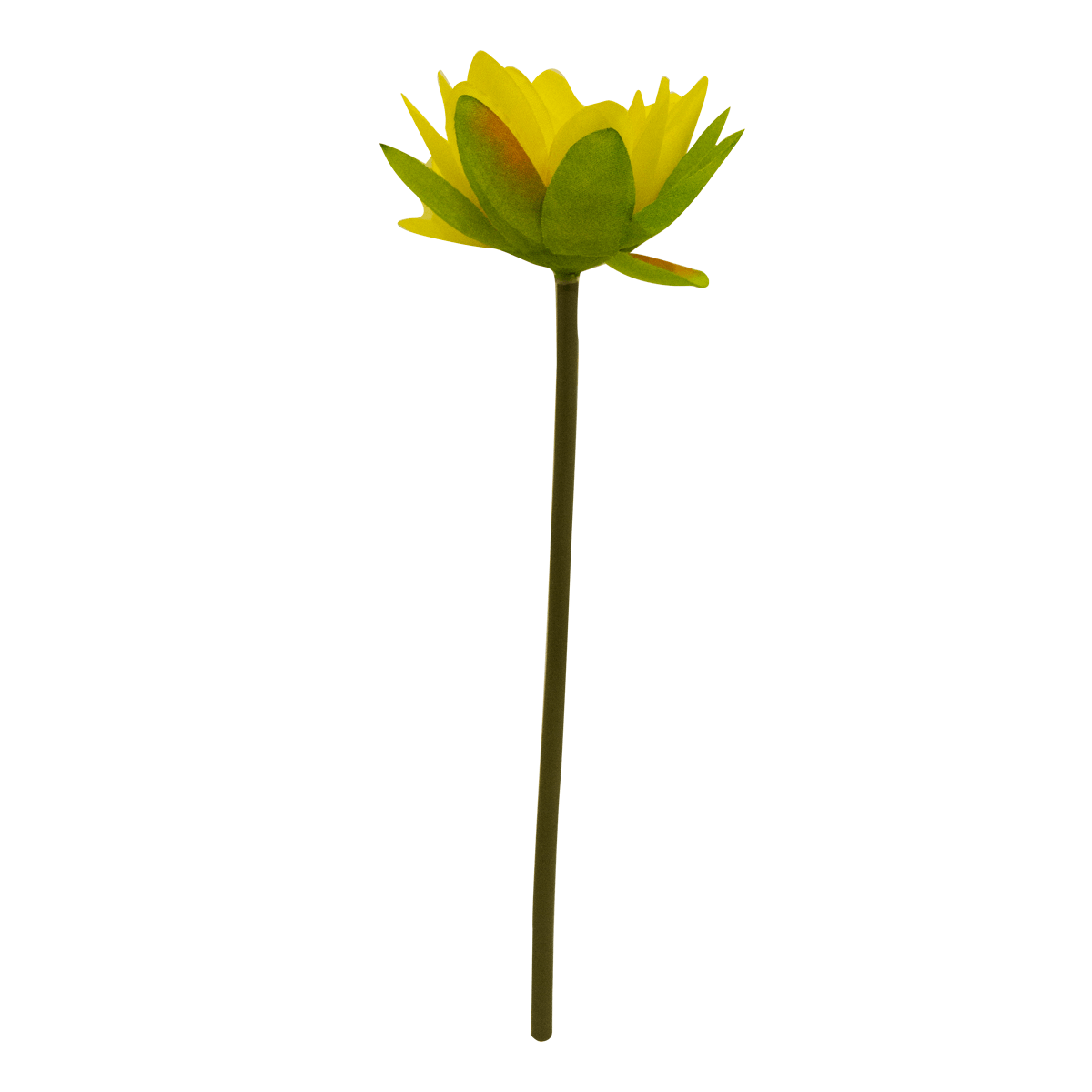 Flor Sombrilla Amarilla | Flores | Recámaras