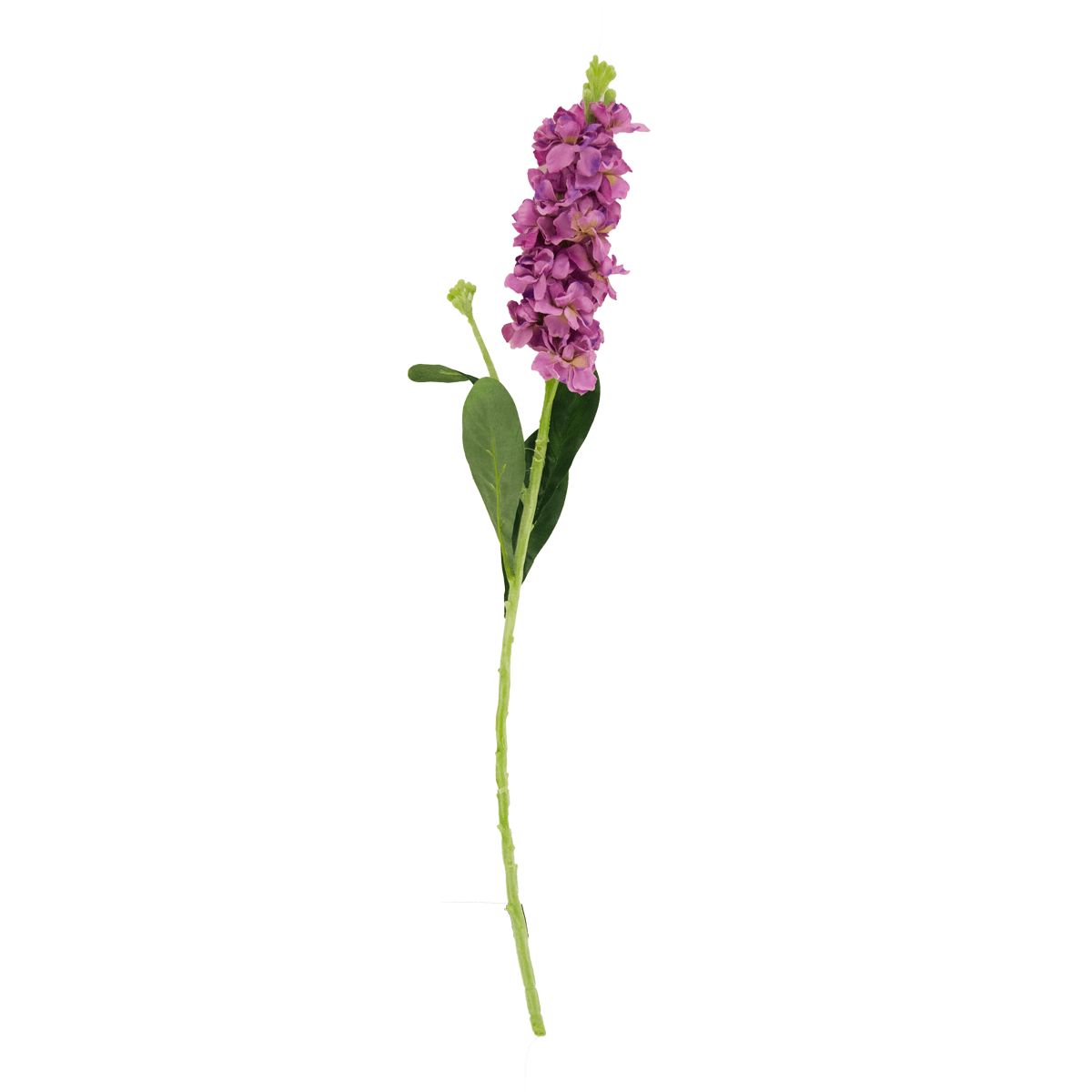 Rama Delfinio Morado | Flores | 1