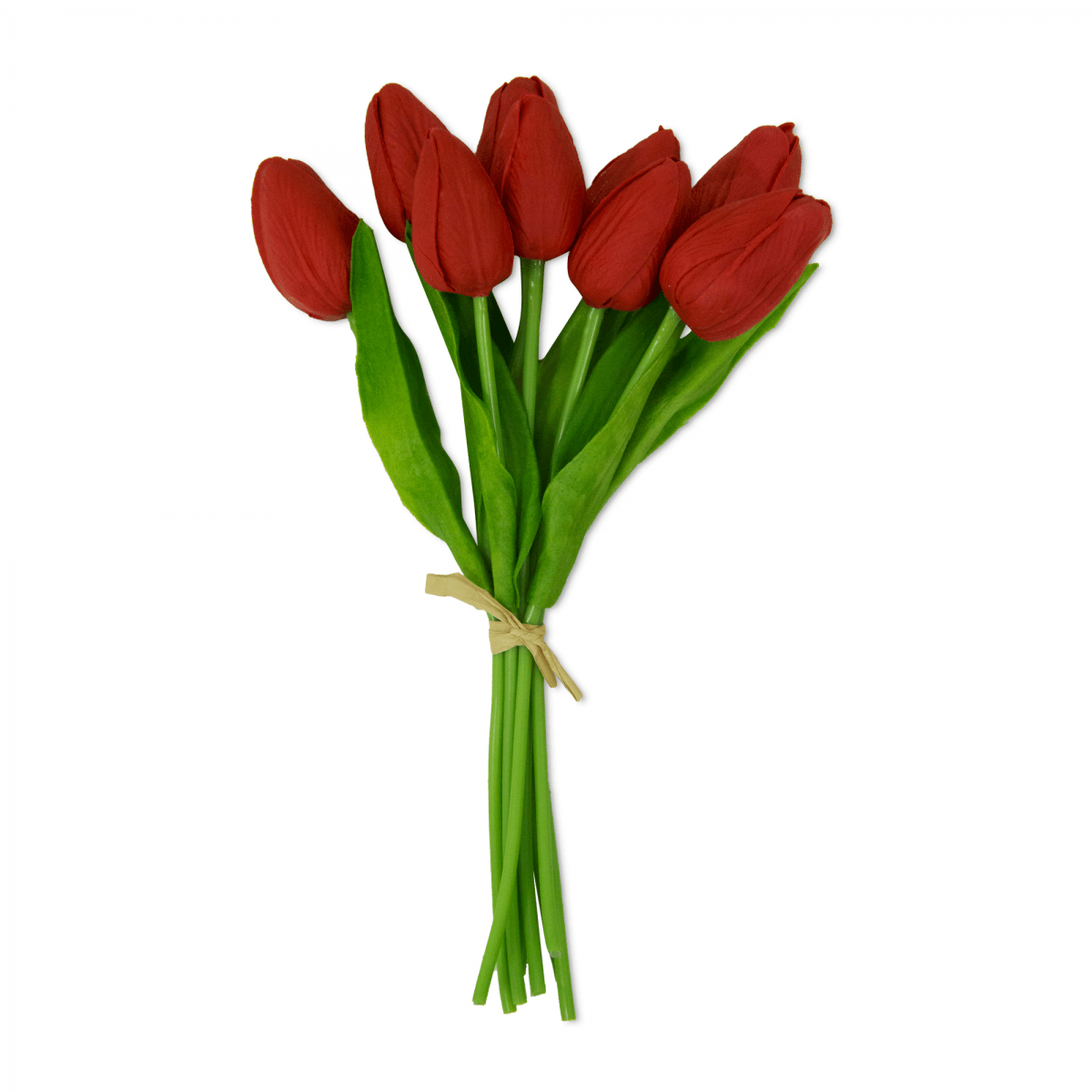 Racimo Tulipanes Rojos (9 Pzas) | Flores | salas