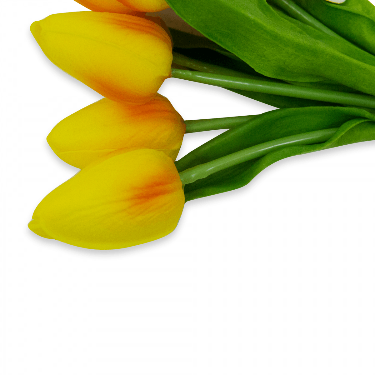 Racimo Tulipanes Amarillos (9 Pzas) | Flores | 1