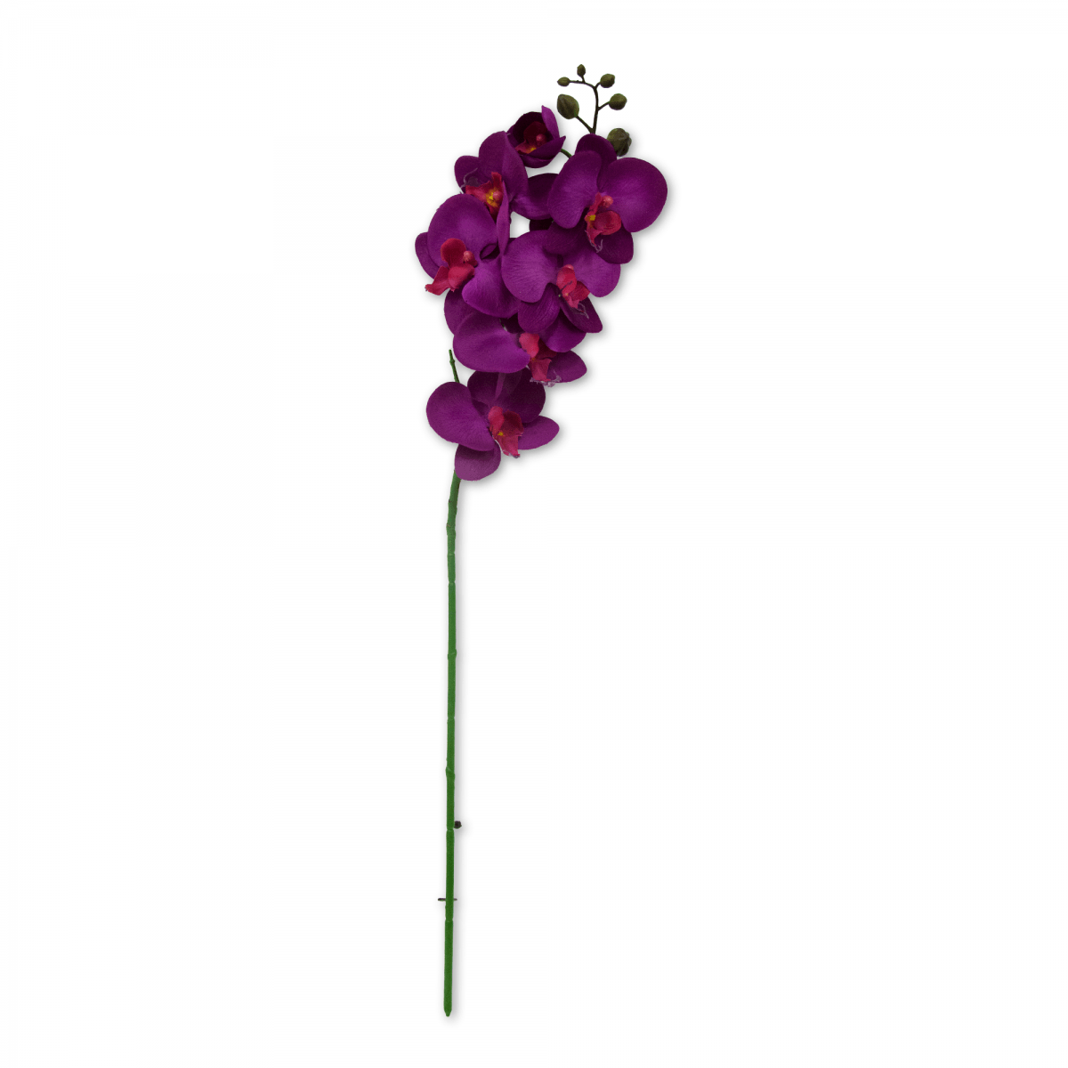 Flor Orquidea Mariposa Gde Violeta | Flores | decoracion