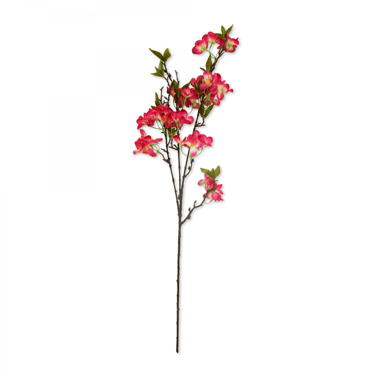 Flor  De Pera Roja | Flores | 1