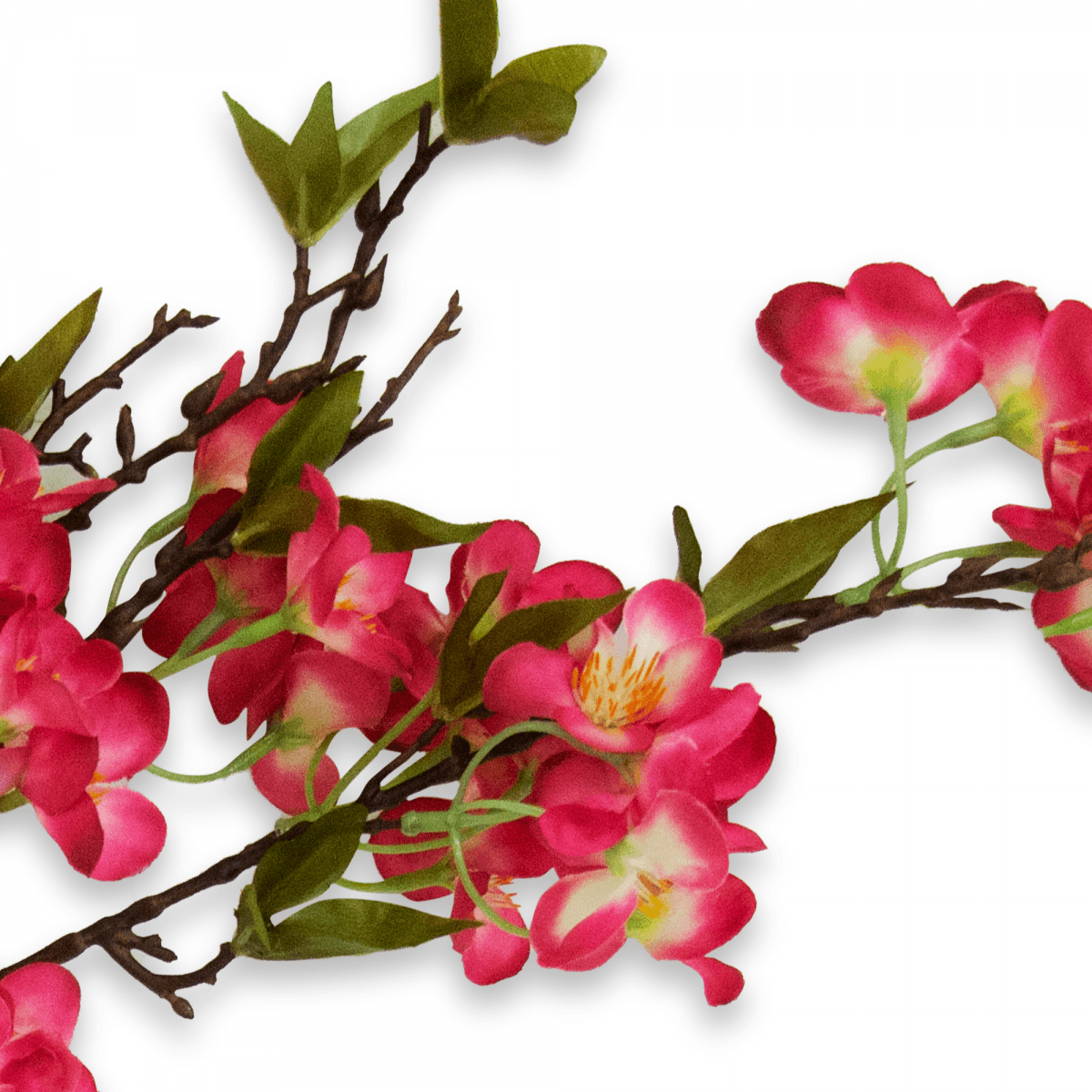 Flor  De Pera Roja | Flores | decoracion
