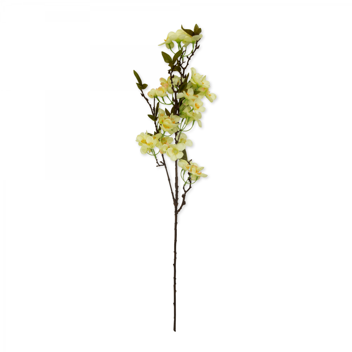 Flor De Pera Blanca/amarilla | Flores | 1