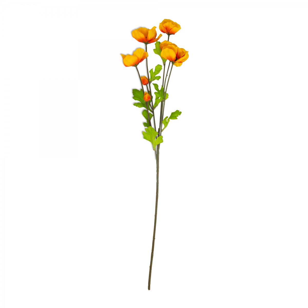 Flor Helebora Naranja | Flores | salas
