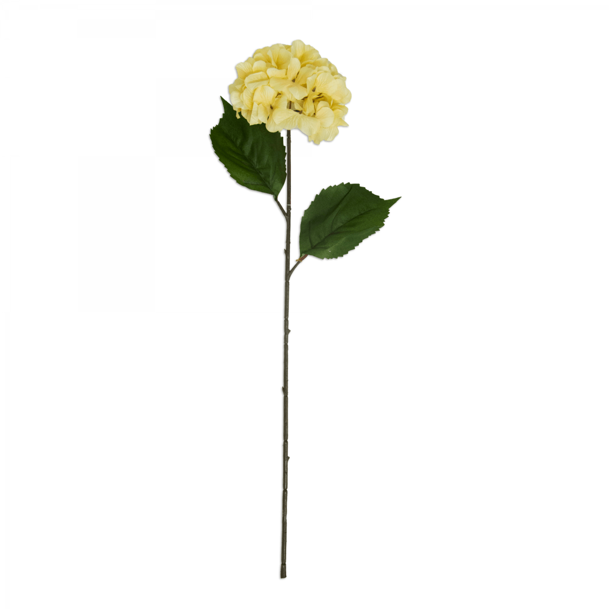 Flor Hortensia OtoÑal Blanca | Flores | salas
