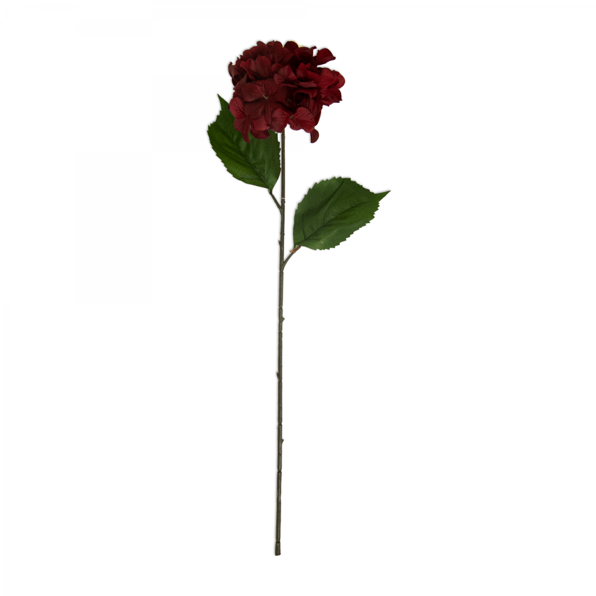 Flor Hortensia OtoÑal Roja | Flores | salas