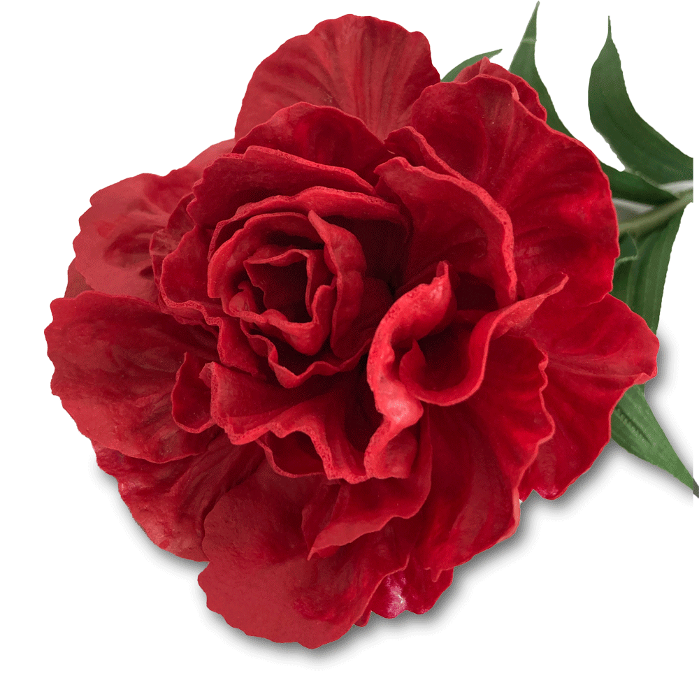 Flor Clavel Sencilla Roja | Flores | salas