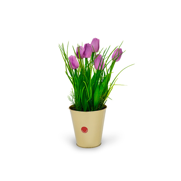 Flor Tulipan Morado Con Base Dorada | Flores | decoracion