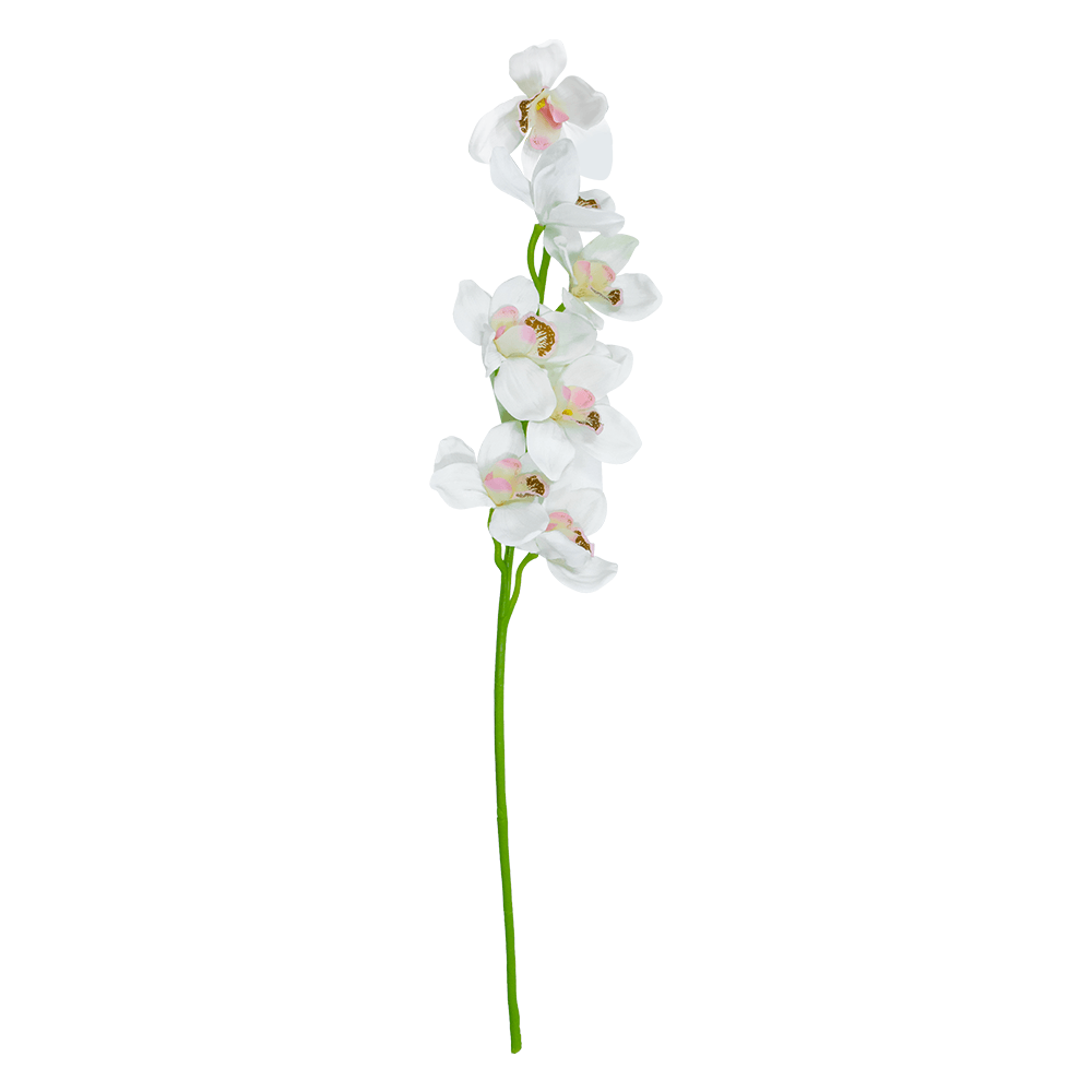 Ramillete Orquidea Blanca | Flores | salas