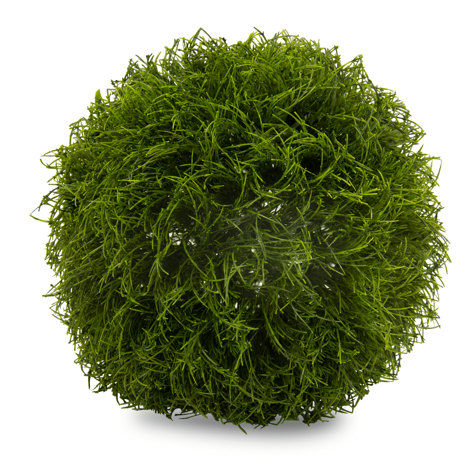 Esfera Follaje 17 Cm Verde | Flores | decoracion