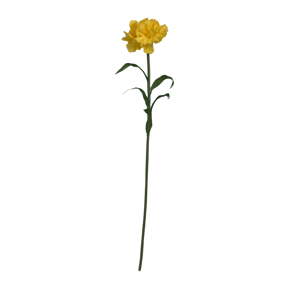 Flor Clavel Sencilla Amarilla | Flores | decoracion