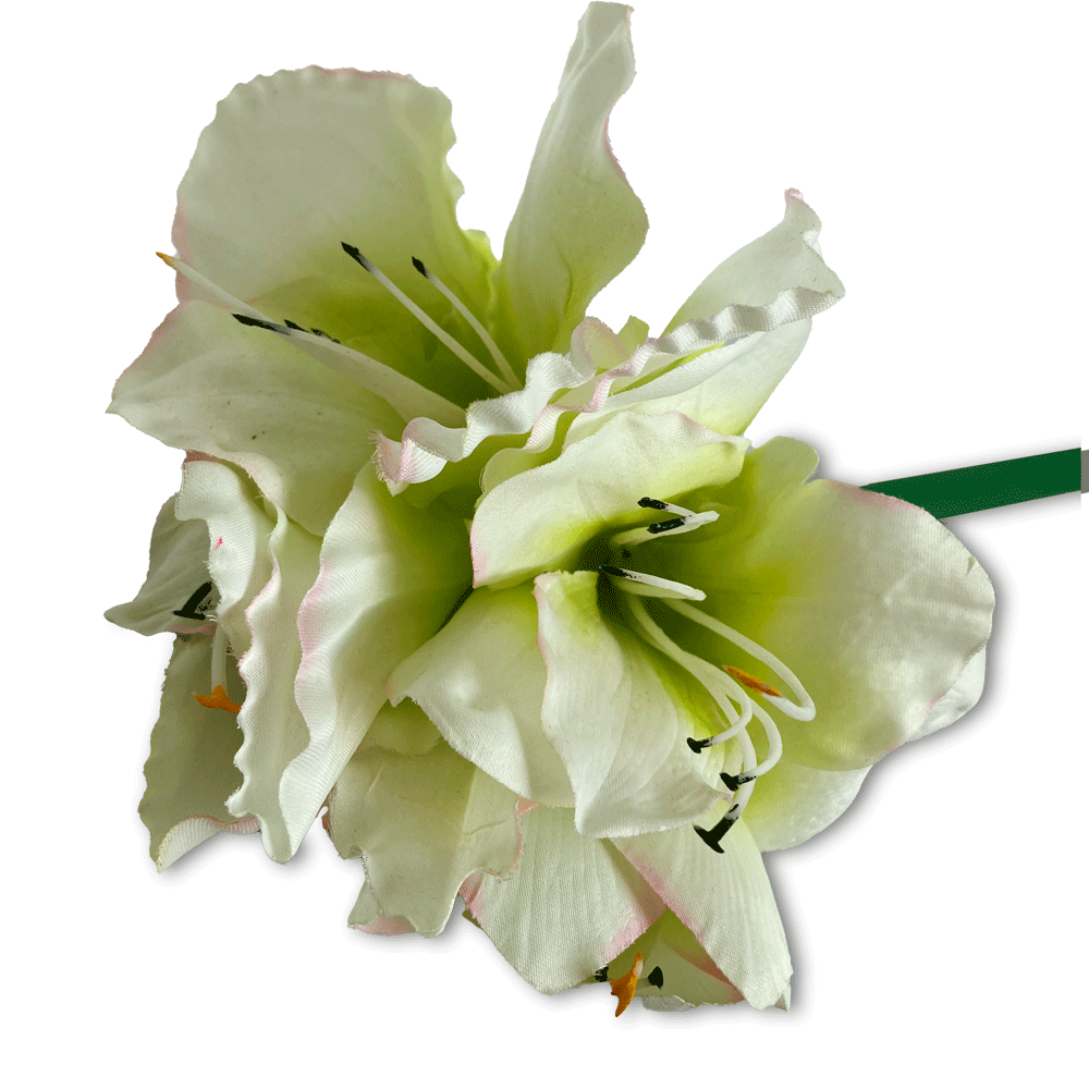 Flor Amaryllis Sencilla Blanca/ Verde | Flores | decoracion