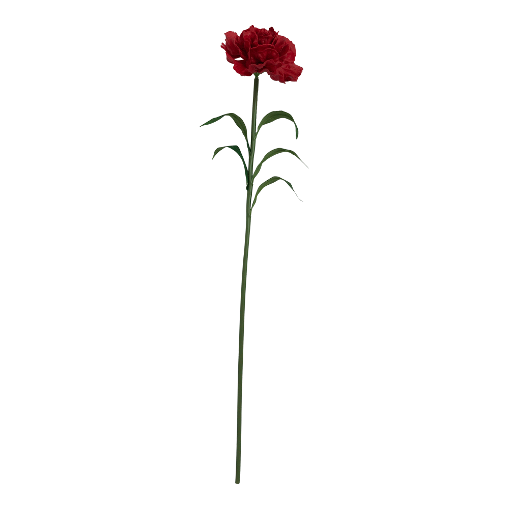 Flor Clavel Sencilla Roja | Flores | Tamarindo En línea