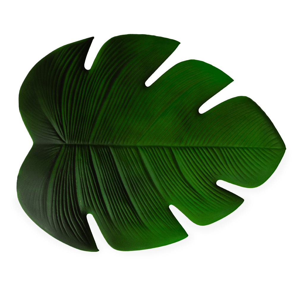 Mantel Individual 47 X 37 Cm Verde | Manteles Individuales | comedores