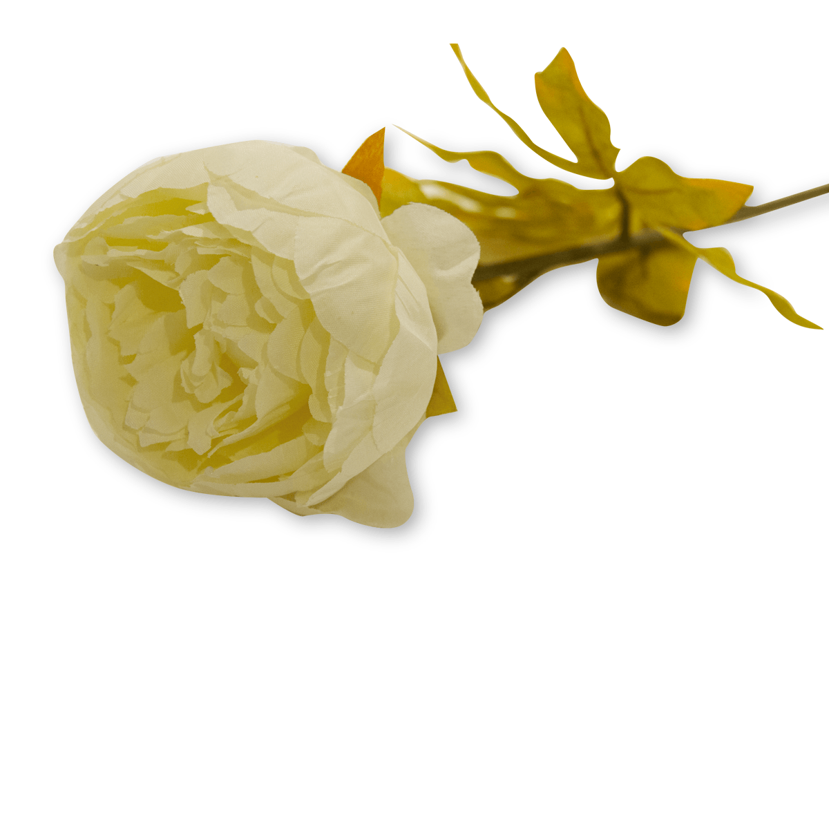 Flor Peonia OtoÑal Blanca | Flores | decoracion