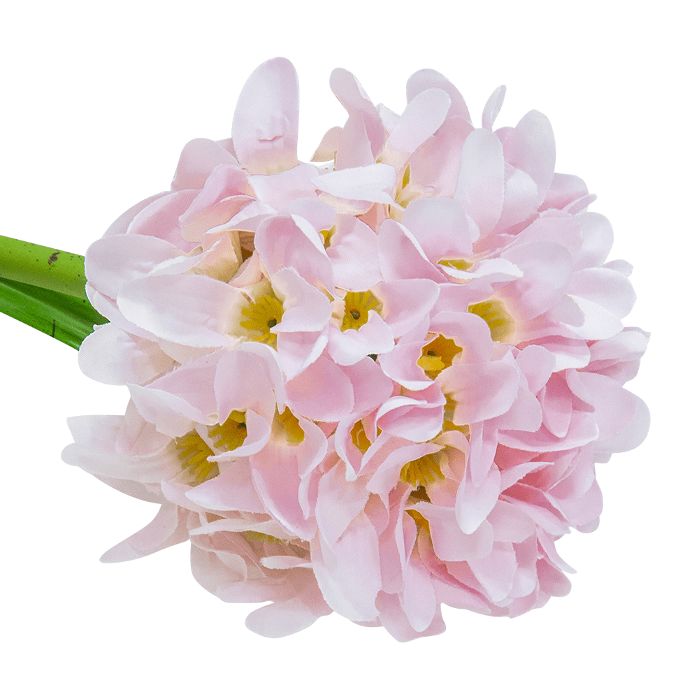 Flor Jacinto Sencilla Rosa | Flores | decoracion