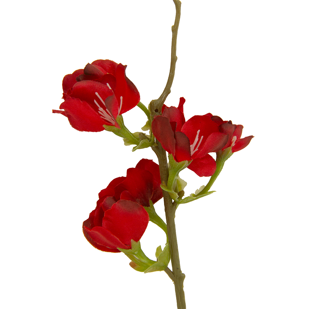Ramillete Flor De Pera Roja | Flores | decoracion