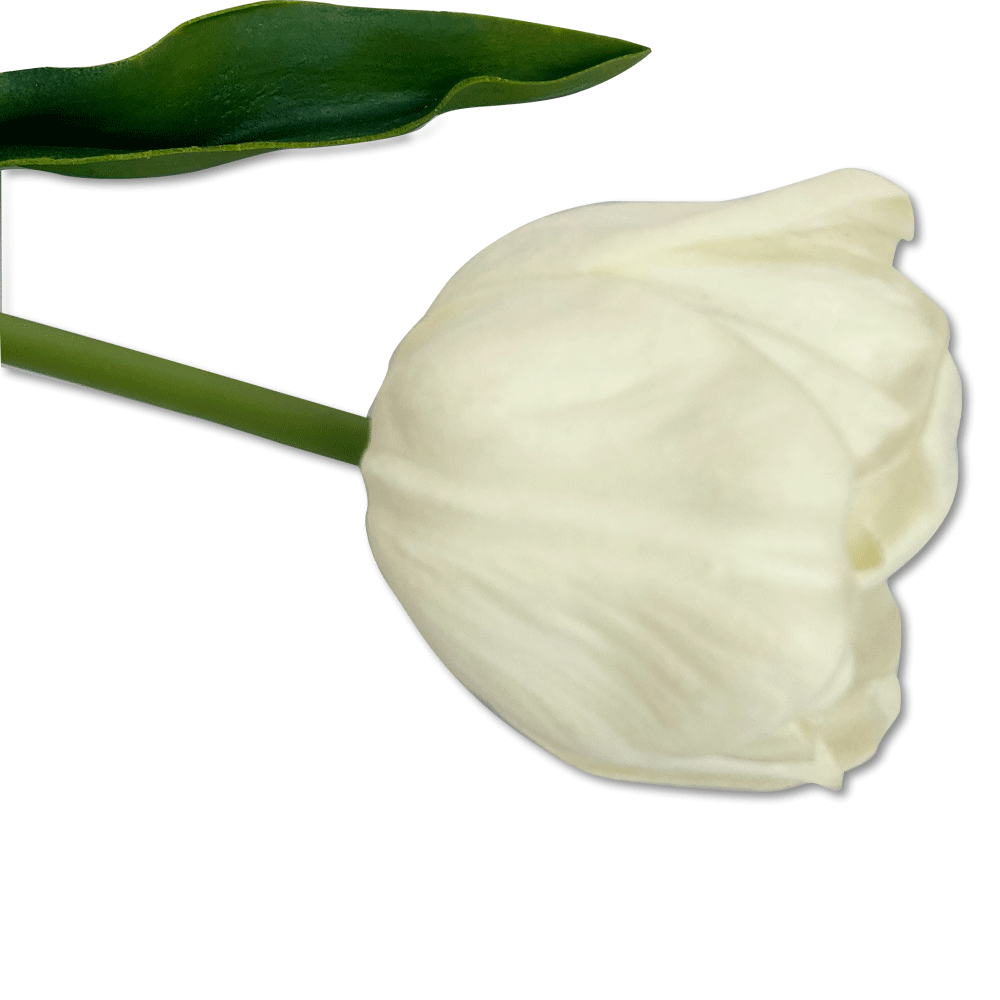 Flor Tulipan Blanco | Flores | salas
