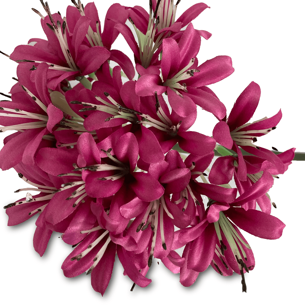 Flor Agapanto Morado | Flores | decoracion