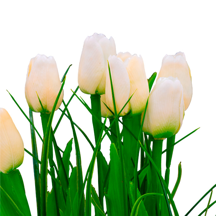 Flor Tulipan Blanco Con Base Dorada | Flores | decoracion