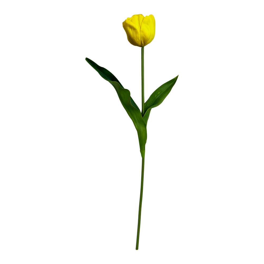 Flor Tulipan Amarillo | Flores | salas
