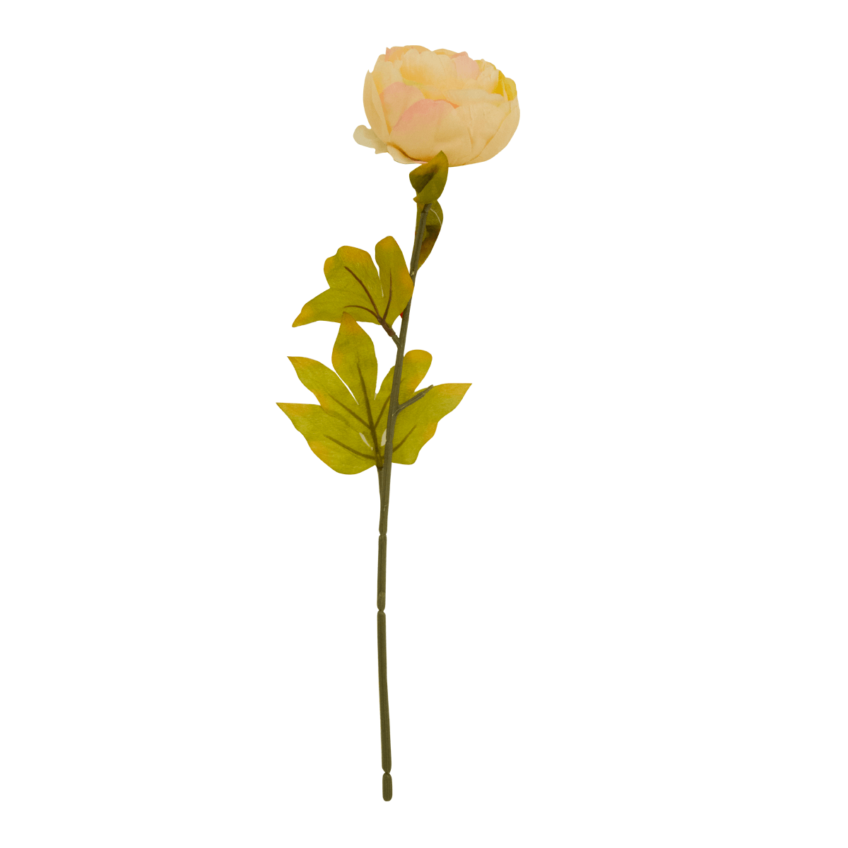 Flor Peonia OtoÑal Rosa | Flores | recámaras