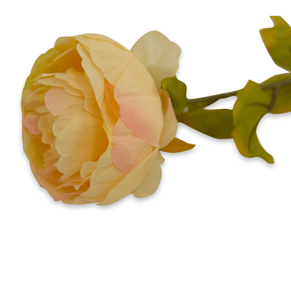 Flor Peonia OtoÑal Rosa | Flores | decoracion