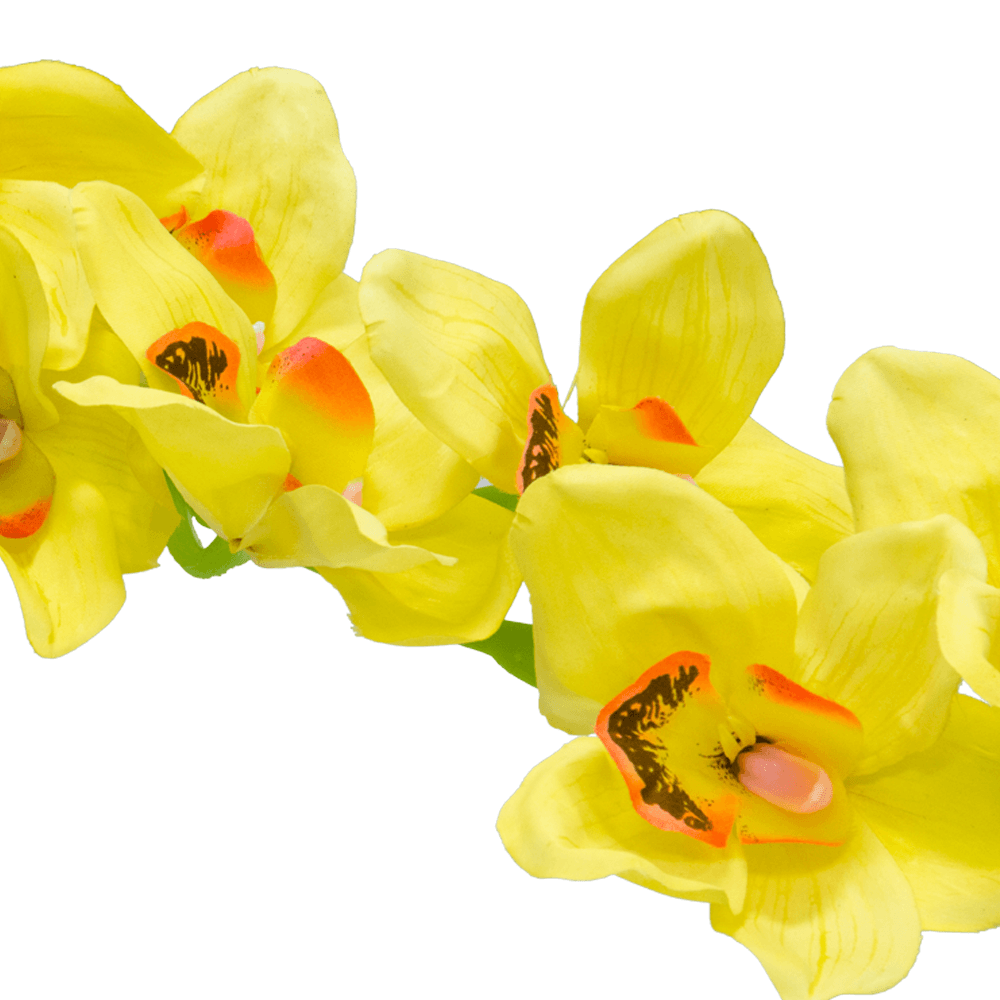 Ramillete Orquidea Amarilla | Flores | salas
