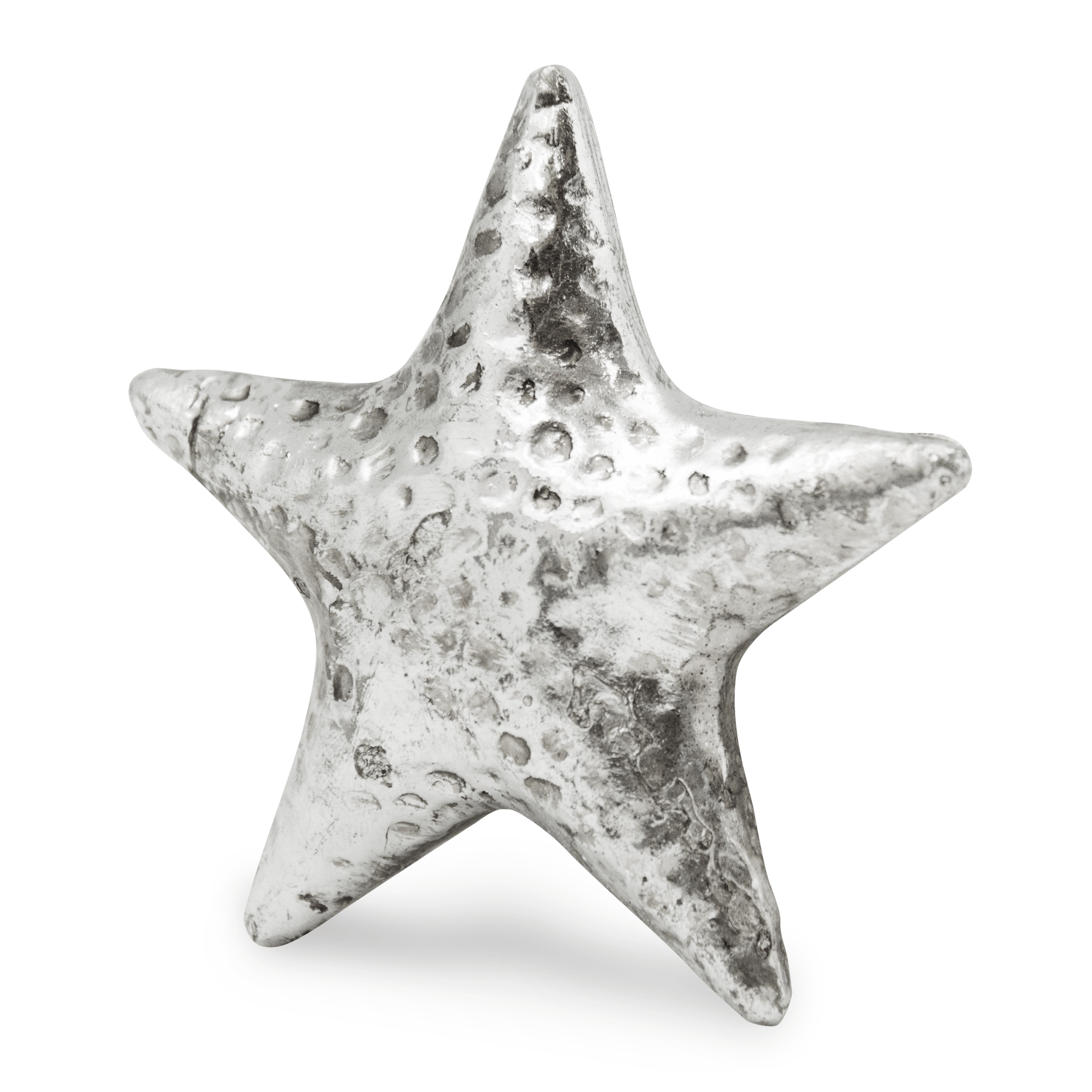 Estrella De Mar Ch Plateada | Esculturas | salas