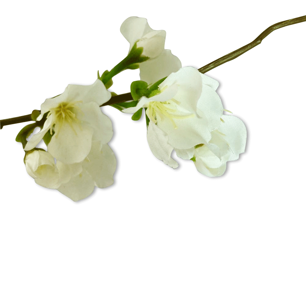 Ramillete Flor De Pera Blanca | Flores | salas