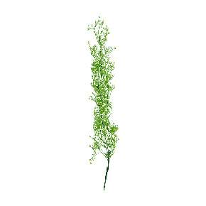 Follaje Solidago Verde | Flores | decoracion
