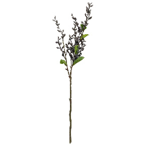 Follaje Senecio Royal Verde Oscuro | Flores | decoracion