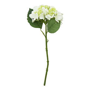 Racimo De Hortensia Blanca | Flores | Recámaras