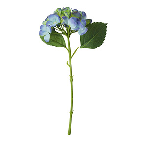 Racimo De Hortensia Azul | Flores | decoracion