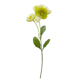 Flor Rosa Doble Verde | Flores | decoracion