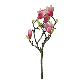 Rama De Magnolias Rosas | Flores | decoracion