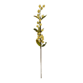 Rama De Espino Blanca | Flores | decoracion