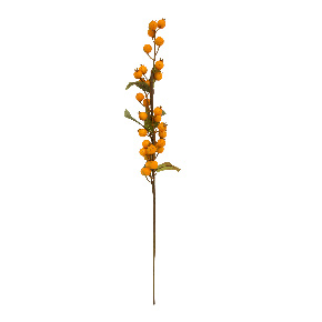 Rama De Espino Naranja | Flores | decoracion